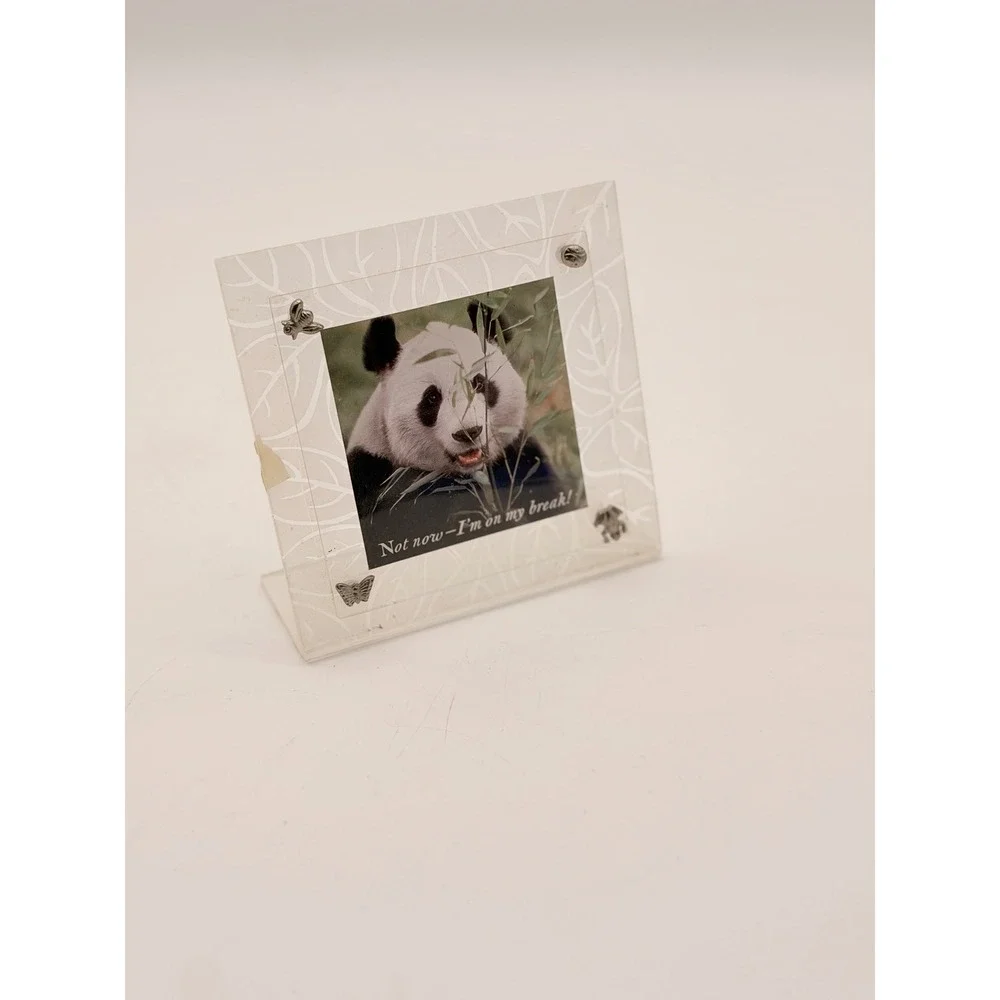 Frosted Acrylic Picture Frame with Metal Bug Accents Butterfly Bee Frog Panda